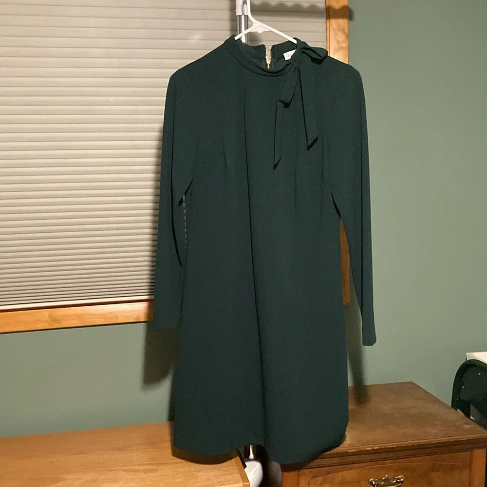 Calvin Klein Green Dress with bow - Picture 1 of 5